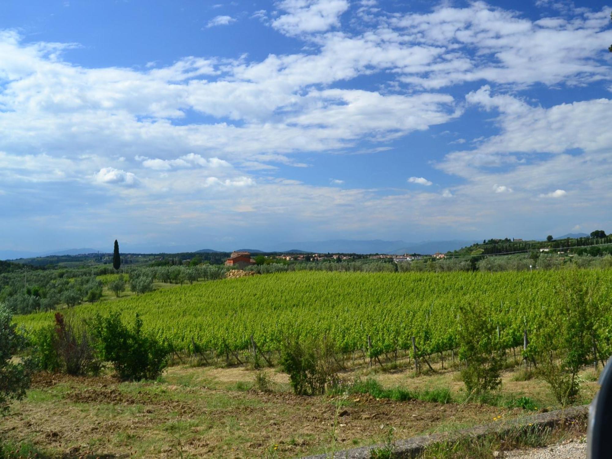 Lovely Holiday Home In Montefiridolfi With Hill View Kültér fotó