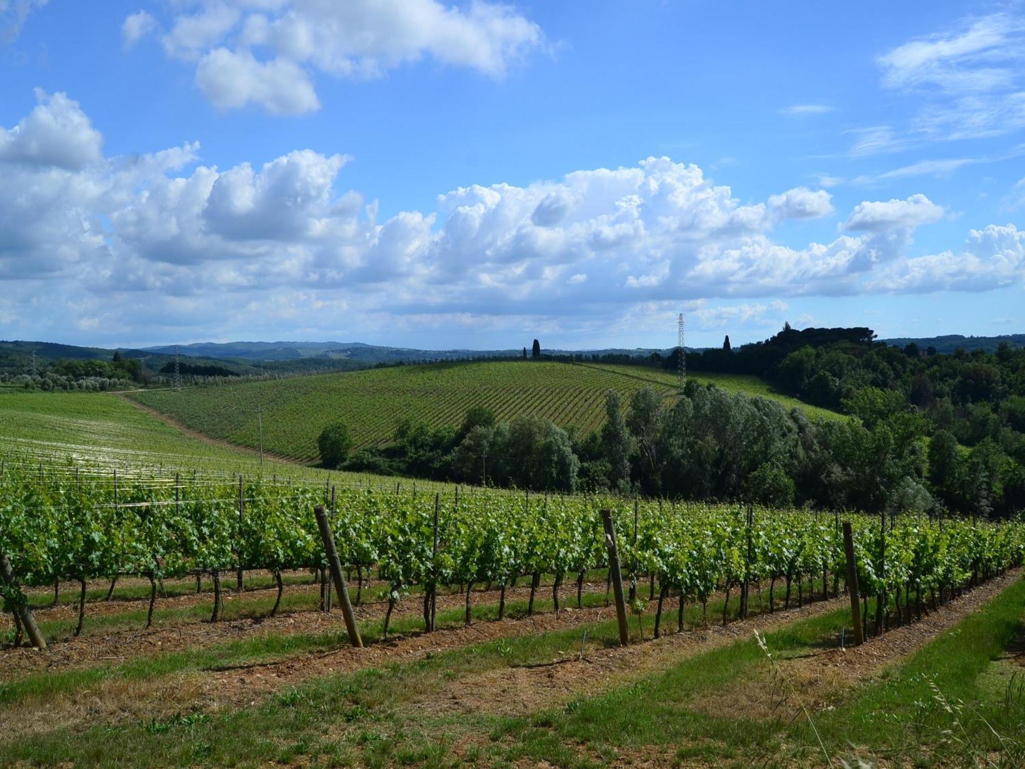 Lovely Holiday Home In Montefiridolfi With Hill View Kültér fotó