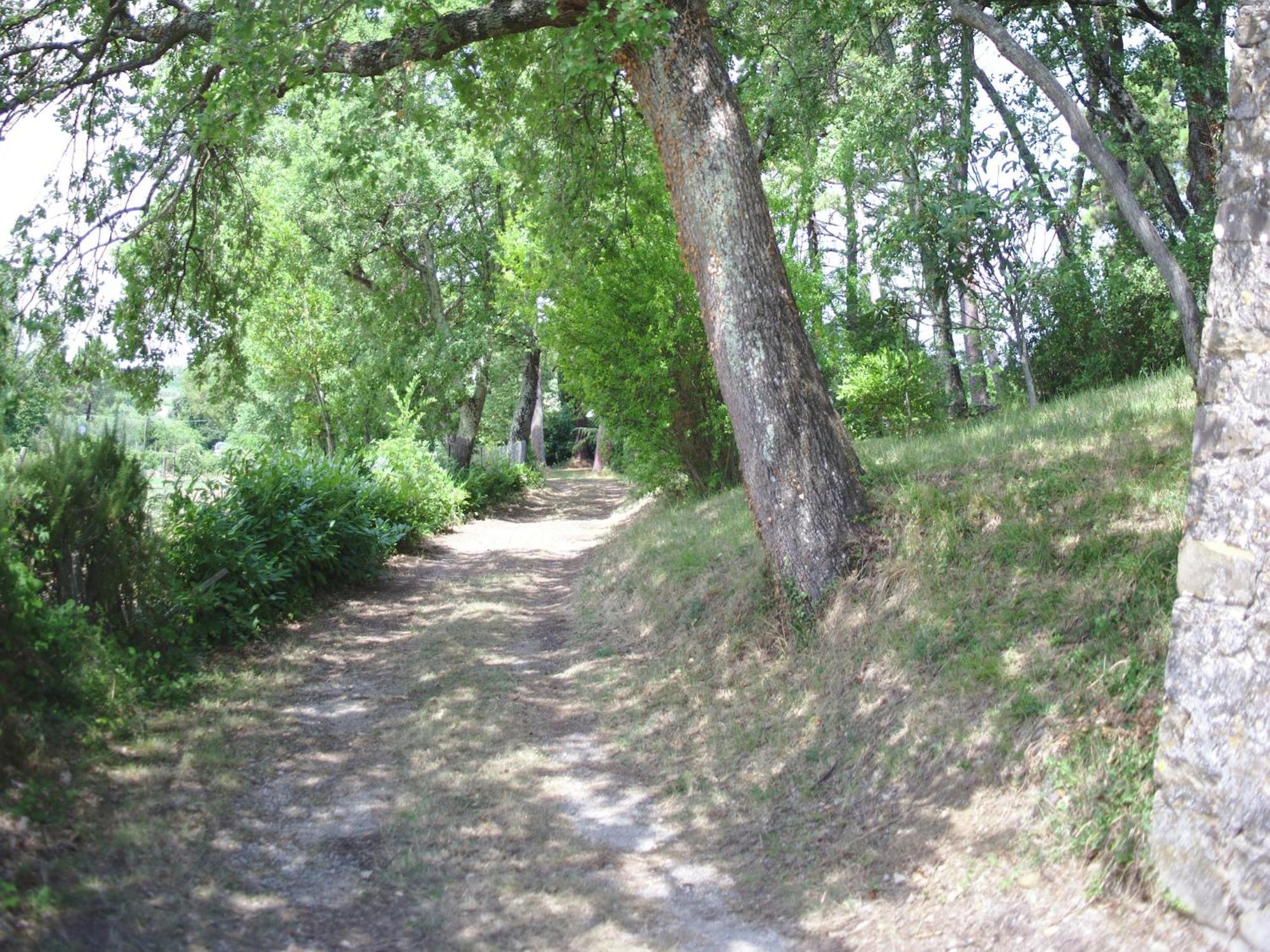 Lovely Holiday Home In Montefiridolfi With Hill View Kültér fotó