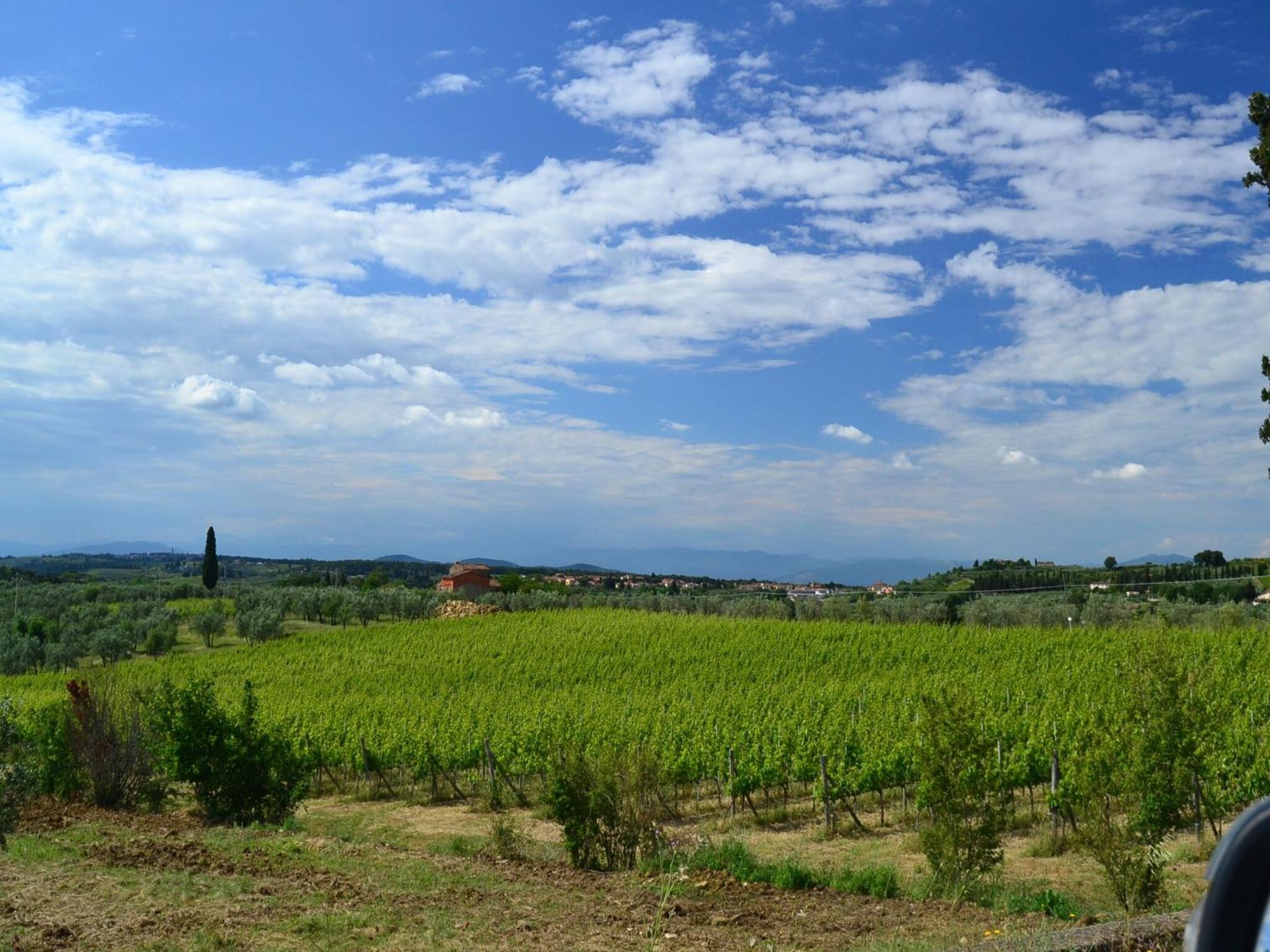Lovely Holiday Home In Montefiridolfi With Hill View Kültér fotó