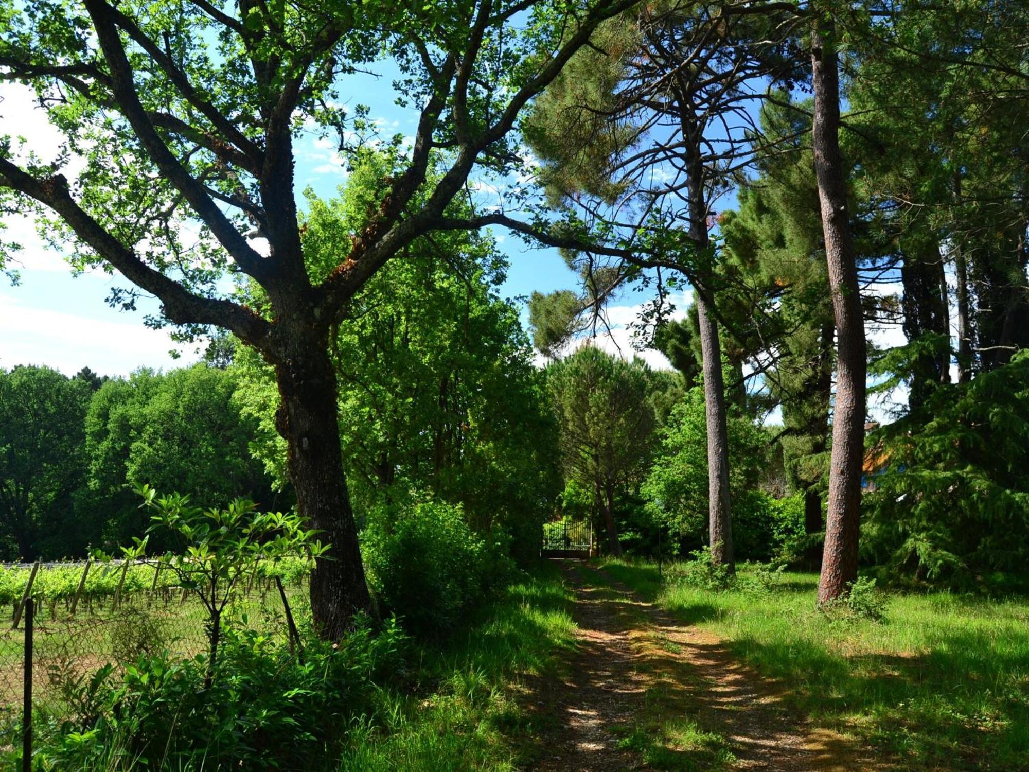 Lovely Holiday Home In Montefiridolfi With Hill View Kültér fotó